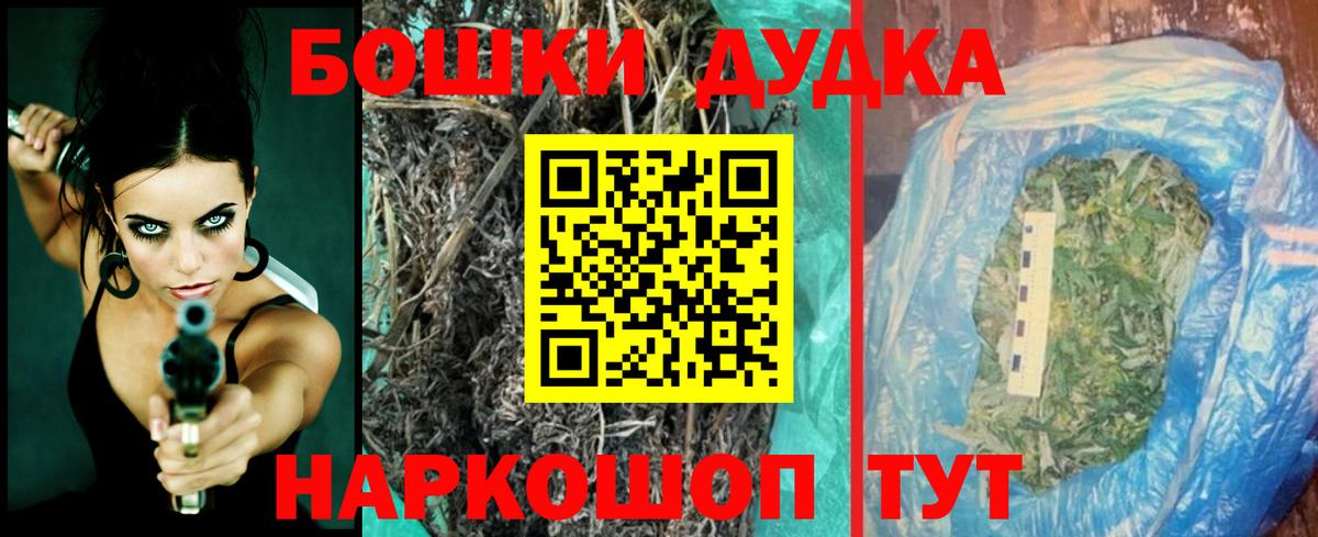 Канабис сатива Луховицы